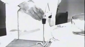 Академик Георгий Николаевич Крыжановский, страницы жизни, 2003