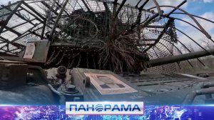 «Бессмертный полк» не только на площадях городов: тысячи бойцов на передовой присоединятся к акции