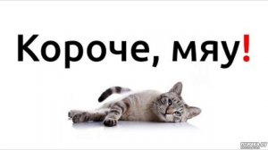 кошачий эдит