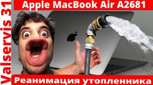 Реанимация утопленника - Apple MacBook Air A2681
