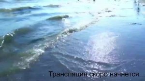 Кубок Вызова стол 1