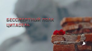 Бессмертный полк. Цитадель
