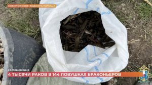Ростов сегодня: дневной выпуск. 6 мая 2026