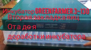 Вторая закладка яиц. Доработки инкубатора GREEN FARMER 3-130. Инкубация от закладки до вылупления.