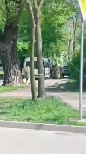 Днепропетровск. Толпа ухилянтов в форме загрузила в бус двух «добровольцев».