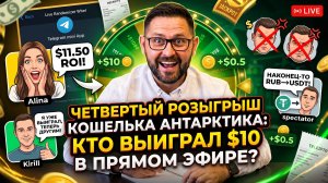 Четвёртый розыгрыш 6 чеков Antarctic Wallet, 4 участника. Алина выиграла $10.5.