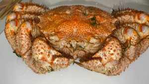 Варим Краба Волосатика, шашлыки из осьминога, ванголе и устраиваем морскую вечеринку.