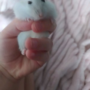на