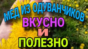 Мёд из одуванчиков.