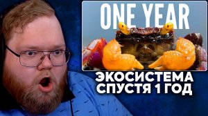 Т2х2 СМОТРИТ: Год назад я создал экосистему, и вот что из этого вышло! | Доктор Плантс
