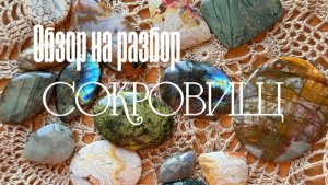 Такого вы еще не видели