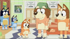 Bluey. Блуи . СБОРНИК .  Веселые приключения Блуи и семейки милых щенков.. Для детей