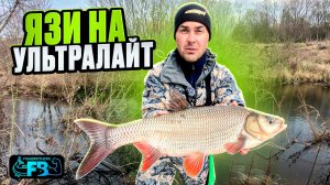 Трофейные язи в канаве! Такая рыбалка бывает очень редко!