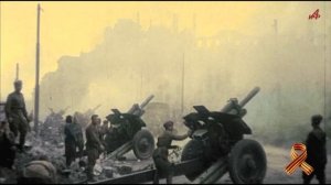 «Спасибо, что живой» — новая видеооткрытка от АиФ ко Дню Победы