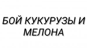 БОЙ КУКУРУЗЫ И МЕЛОНА | Skapell