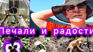 Обзор участка. Что растёт? Эх, работа, перейди на Федота🤣