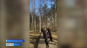 Цель — объединить 100 человек. Иркутянин Андрей Мурач устраивает ежедневные пробежки и танцевальные