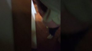 1000002753.mp4