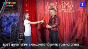 Все в цирк! Тигры Запашного покоряют Севастополь