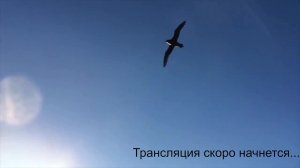 Кубок Вызова стол 3