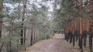 Реальная сказка о большом, но очень скромном начальнике