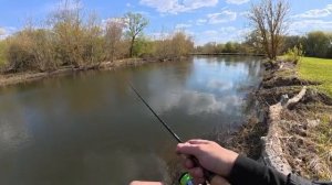 МЕНЯ ЗАТРЯСЛО, КОГДА УВИДЕЛ ЭТО ЧУДОВИЩЕ! ТАКОЕ НЕ ЗАБЫТЬ, БУДЕТ СНИТЬСЯ! Рыбалк