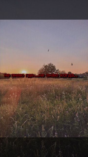 Лето....