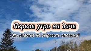 Первое утро на даче. Это счастье не выразить словами!