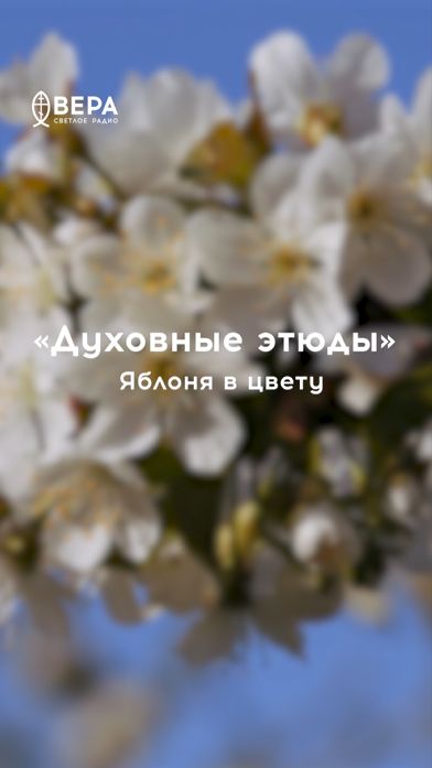 Цветущая яблоня — образ души