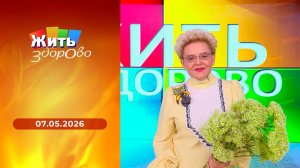 Жить здорово! Выпуск от 07.05.2026