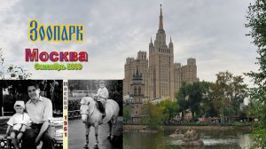 Зоопарк 2009 г. Москва.