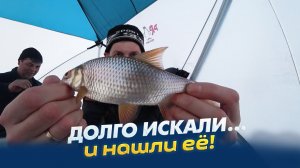 Рыбалка по-братски на сорогу