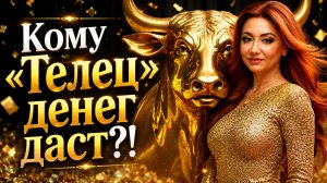 Кому «Телец» денег даст?!