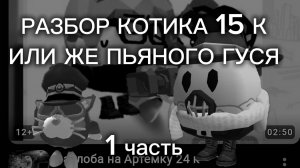 РАЗБОР КОТИКА 15 К ден 19 к чг чикен Ган разоблачение разбор