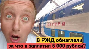 Конские цены на билеты. Поездка из Питера в Москву поездам Аврора.
