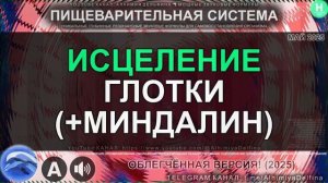 Чистое Горло, Здоровые Миндалины 4 Глубокое Исцеление Глотки Укрепление Иммунитета Глотки