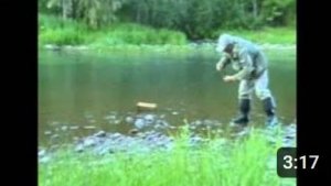 Рыбалка на кораблик за один заброс 7 рыб