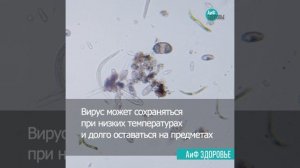 На дачу за лихорадкой?  Эксперт рассказала, какие болезни поджидают за городом