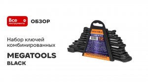 Набор комбинированных ключей MEGATOOLS