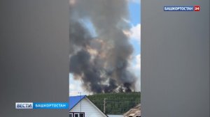Лесной пожар в районе Белебея: огонь поднялся выше крон деревьев