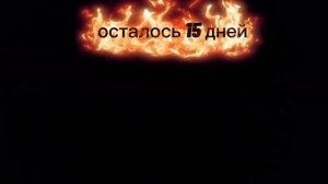 Ура видео! 🥳