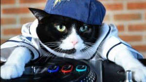 XZLOPRODUKTZX DJ OTETS PAVEL