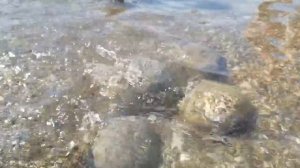 Море отдых солнце. Тёплый день на чёрном море. Ольгинка Туапсе 2023