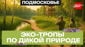 Вышка 12 метров и тропа над водой: Лосиный остров открыл сезон эко-маршрутов