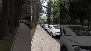 #СОЧИ 6 мая