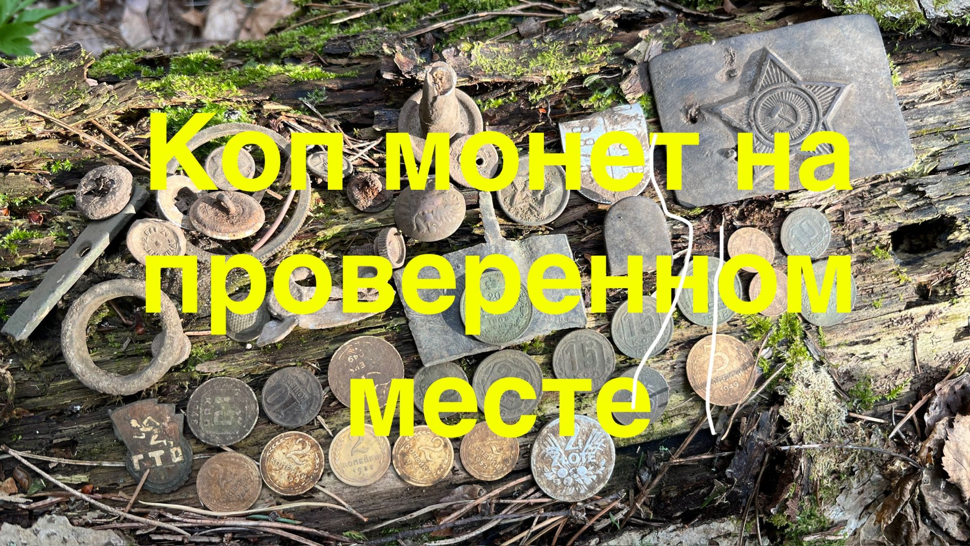 Копаю монетки в любимом лесочке... смотреть онлайн
