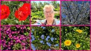 07.05.26 🌷ОГОРОДНЫЕ ДЕЛА 🌷 ЧТО ПЛАНИРОВАЛА ВСЁ СДЕЛАЛА 🌷