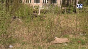 Продолжается онлайн-голосование по выбору общественных территорий для благоустройства в 2027 году.