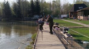 Поимка форели до запуска. РК Липки.