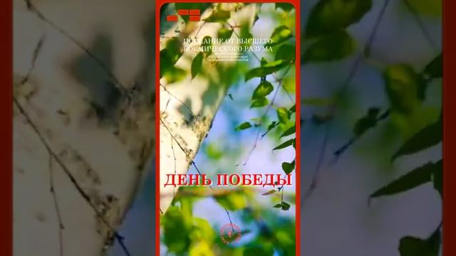 #БлагоВест ✴ ДЕНЬ ПОБЕДЫ